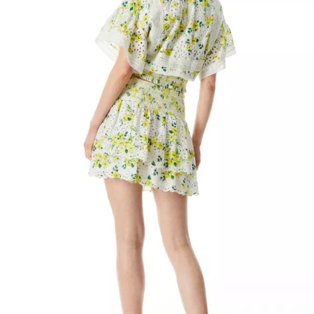 Alice + Olivia Tabitha Eyelet Set - Floral Crop Top (Large) & Skirt Set (10) - Picture 9 of 16